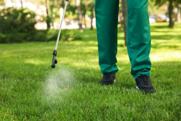 Pest Control Cost in Laureles, TX