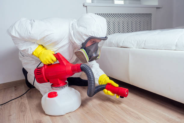 Best Affordable Pest Control Services  in Laureles, TX