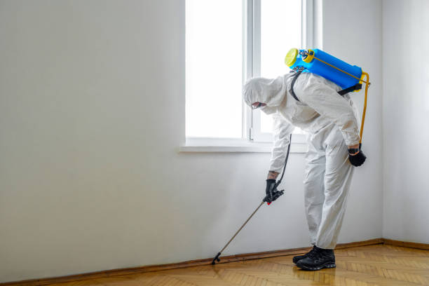 Best Emergency Pest Control  in Laureles, TX