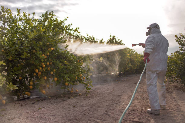 Best Exterminator Services  in Laureles, TX