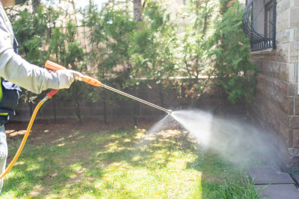 Wasp Removal Services in Laureles, TX