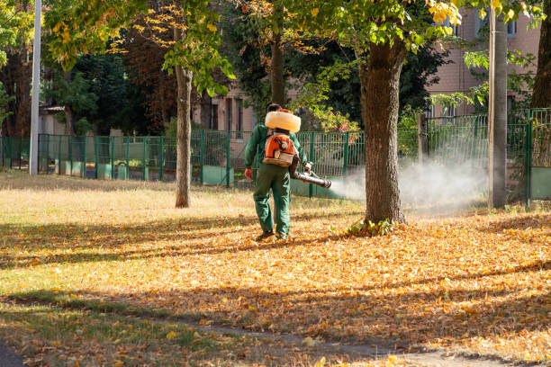 Best Affordable Pest Control Services  in Laureles, TX