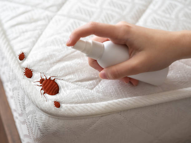 Best Residential Pest Control  in Laureles, TX