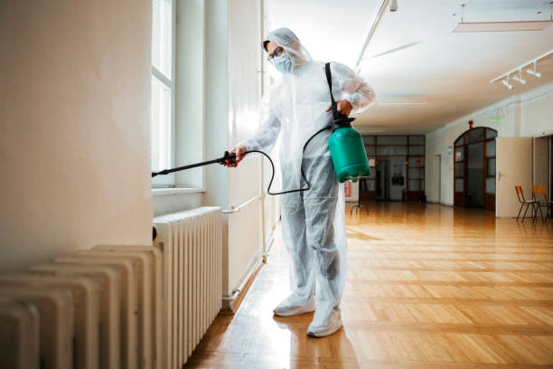 Best Rat Extermination Near Me  in Laureles, TX